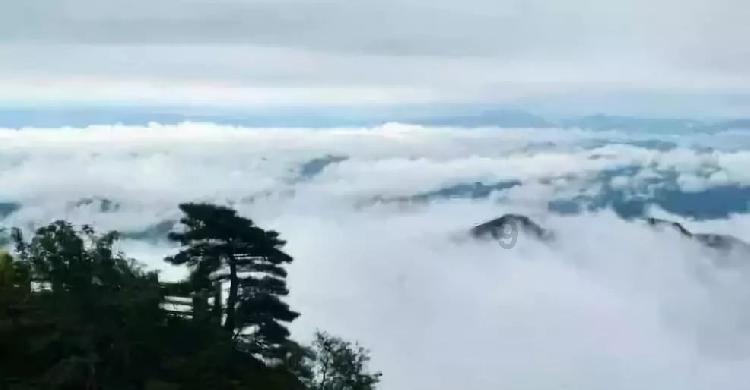 美丽小空姐